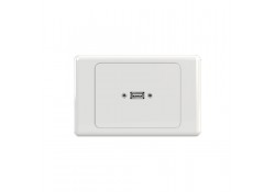 USB Type A Wall Plate